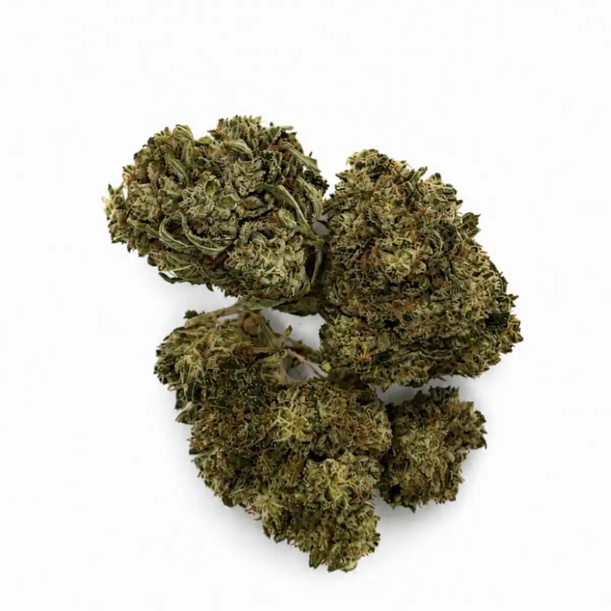 Tutti Fruity