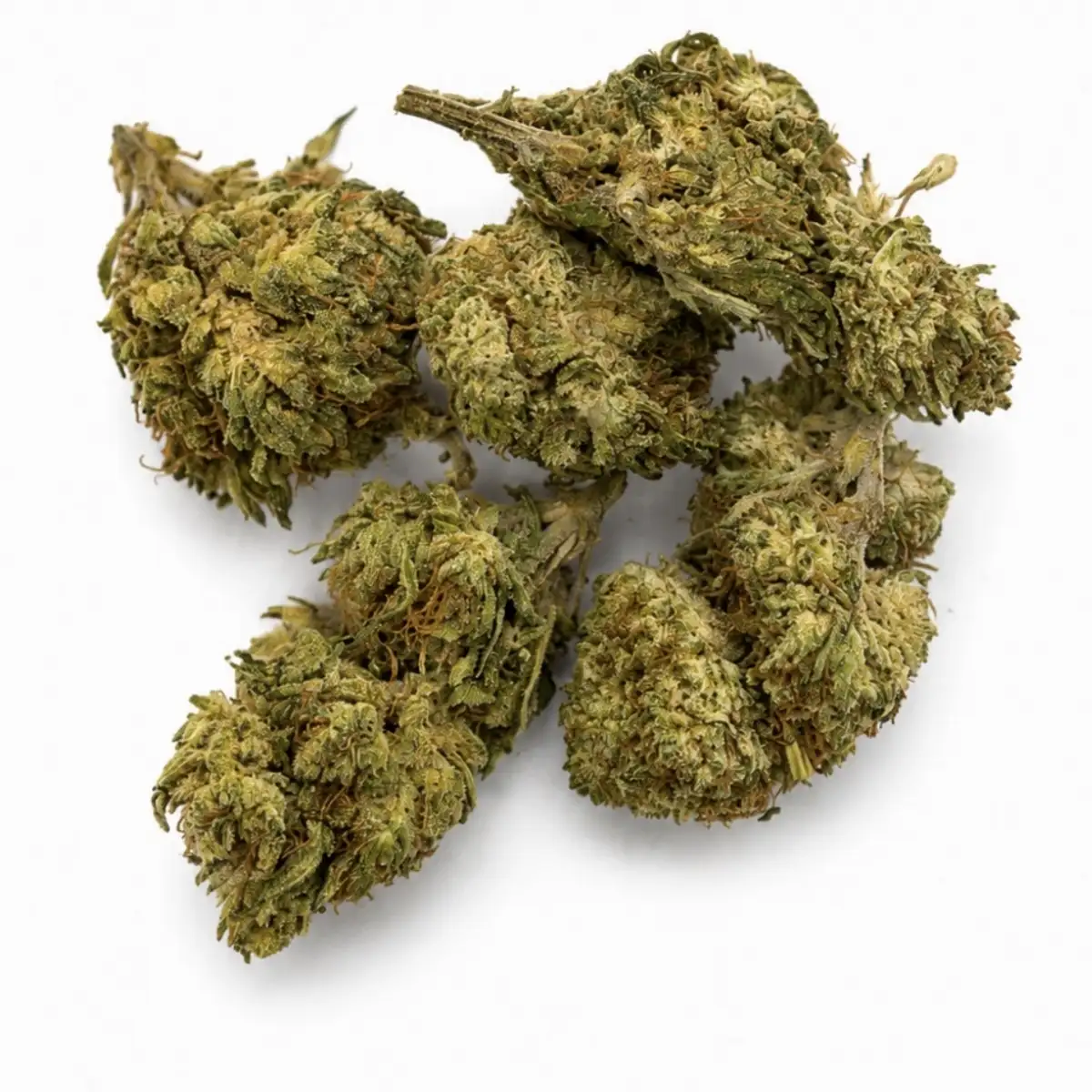 Zéro Absolut (0 % THC)