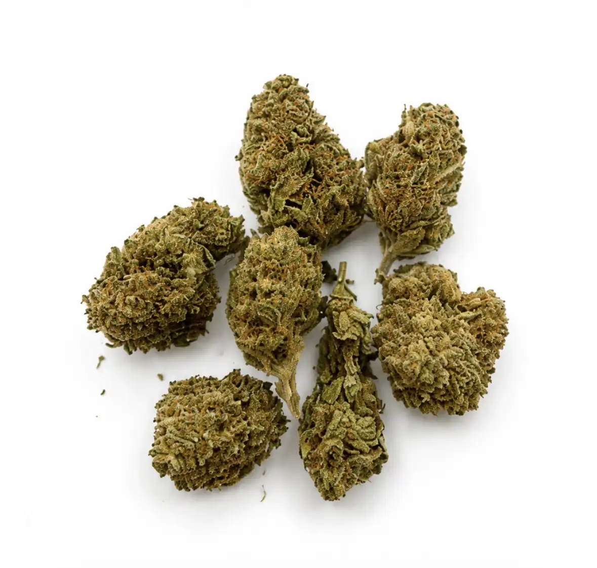 Blue Berry