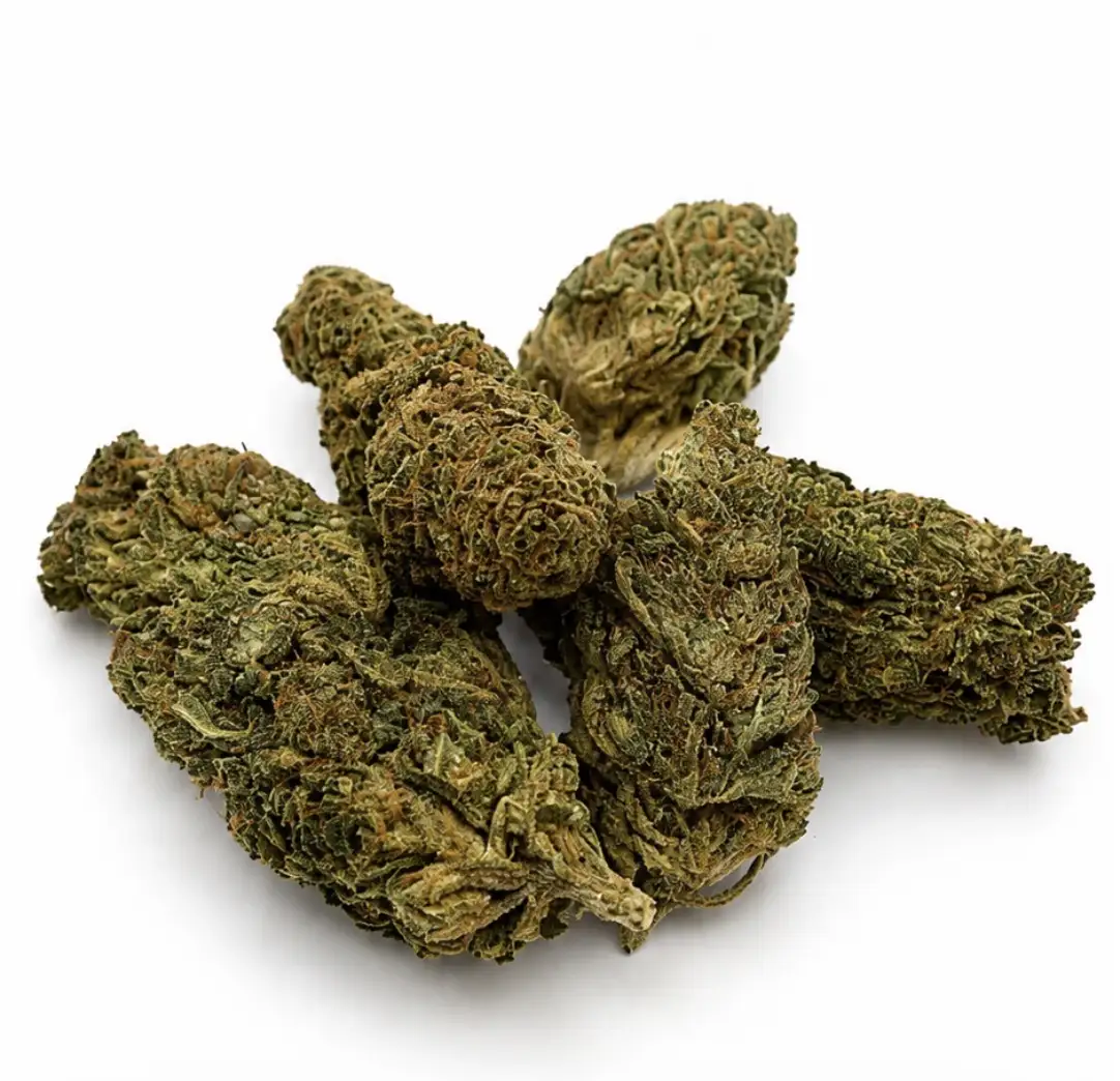 Tropicoz